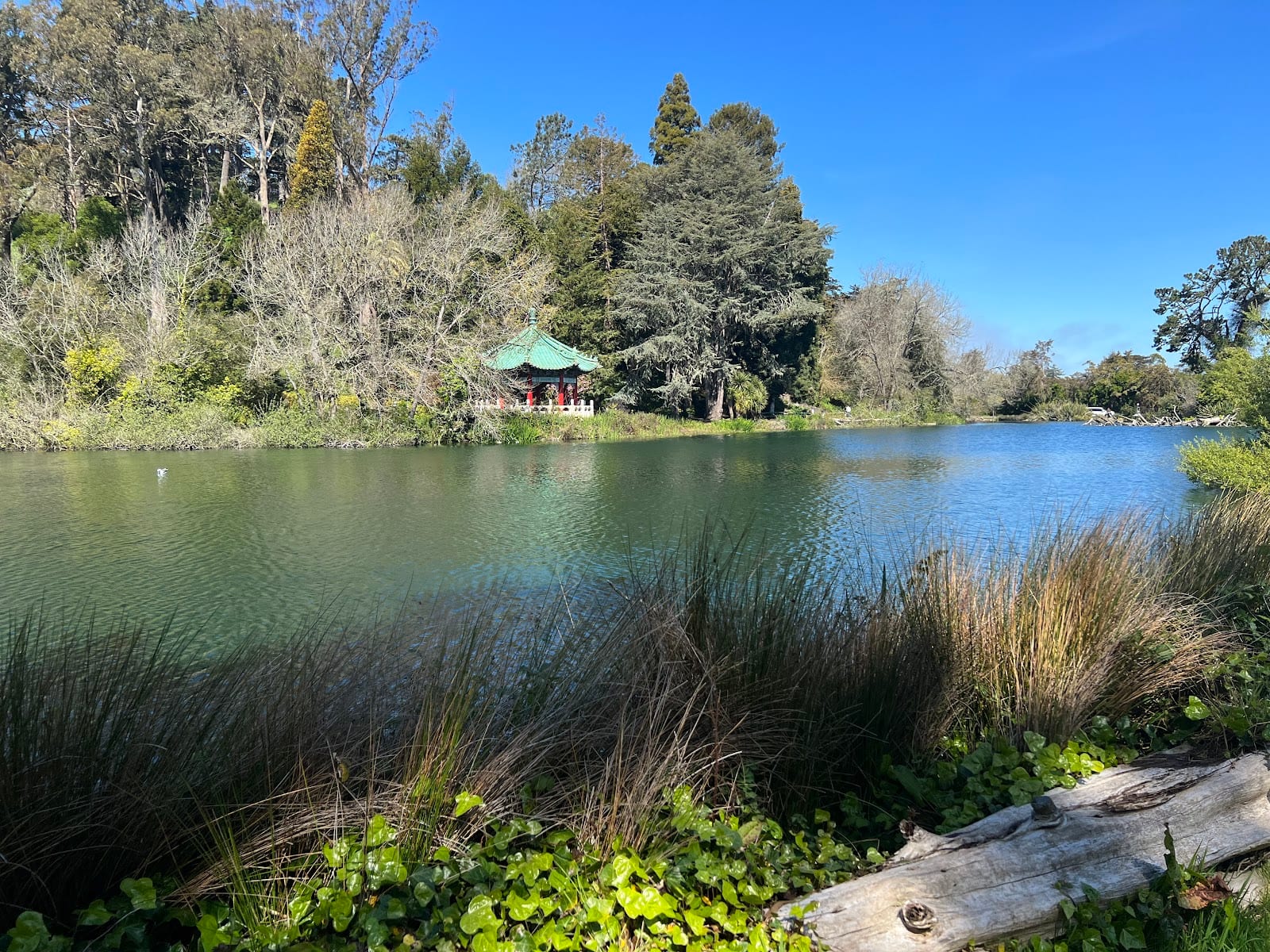 Blue Heron Lake