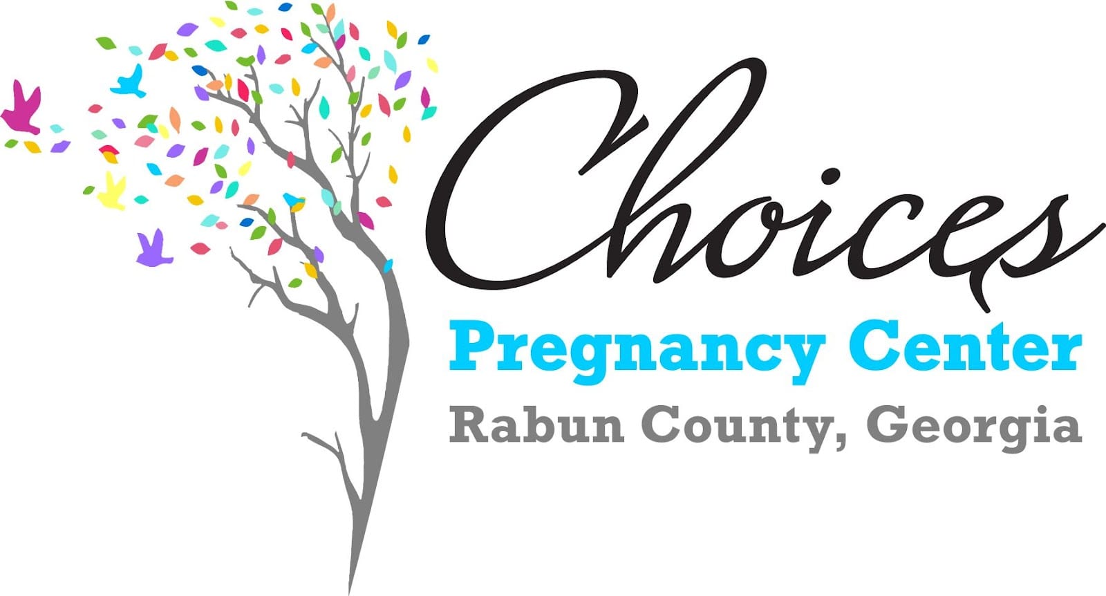 Choices Pregnancy Center, photo 2