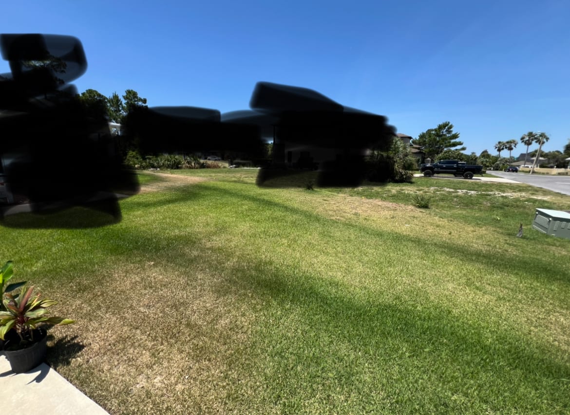 Massey Services GreenUp Lawn, photo 3