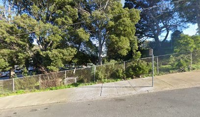 Park Playground