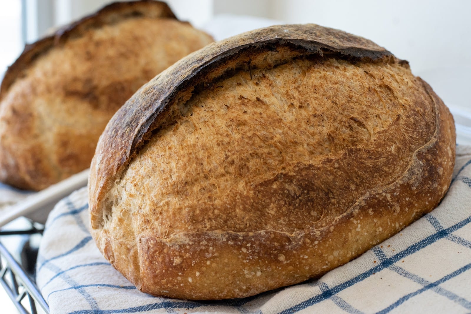 State Flour Bakery