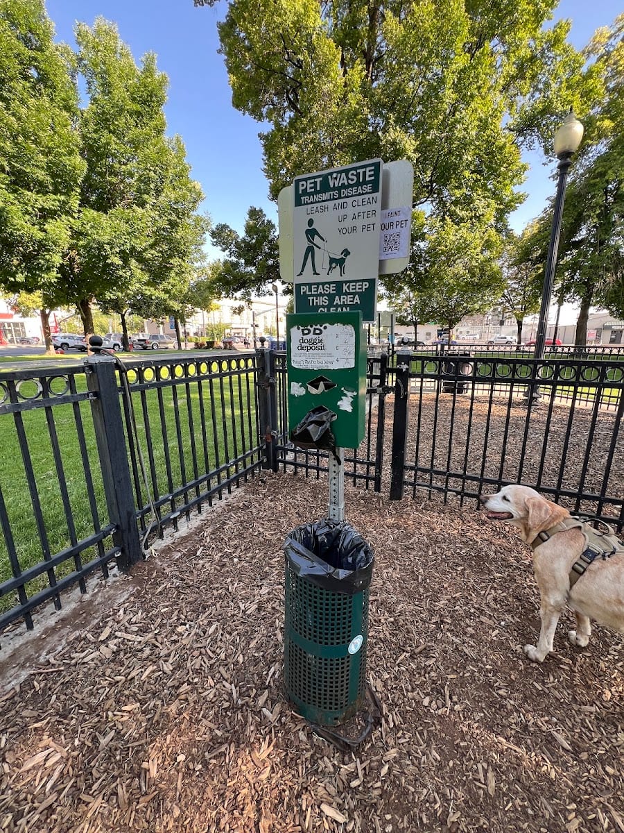 Pioneer Dog Park