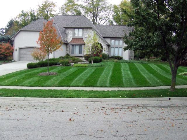 The Gilded Garden Property Services, photo 2