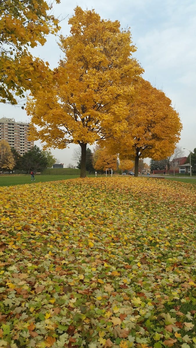 Seneca Hill Park