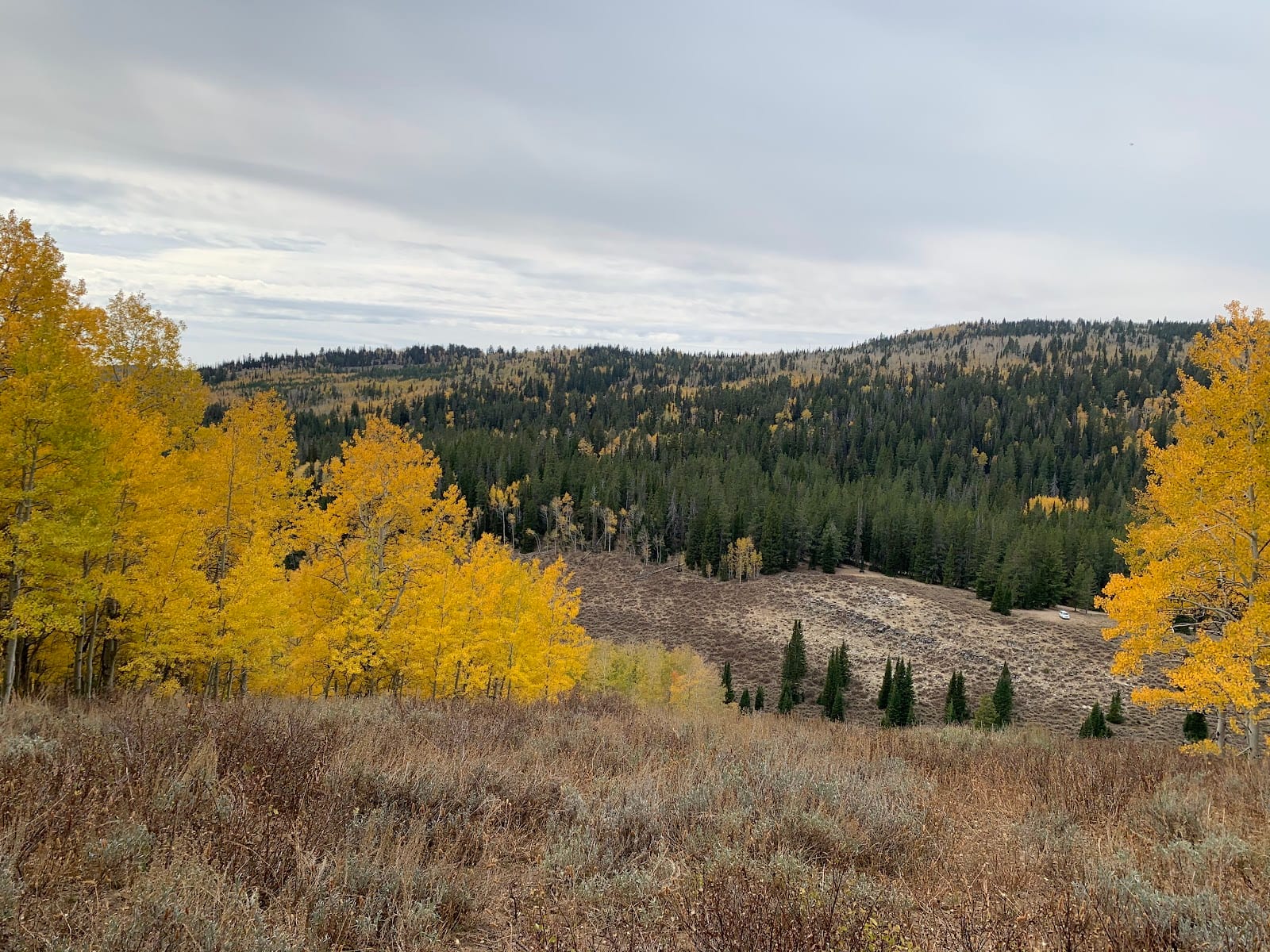 White Pine Lake Trail Head