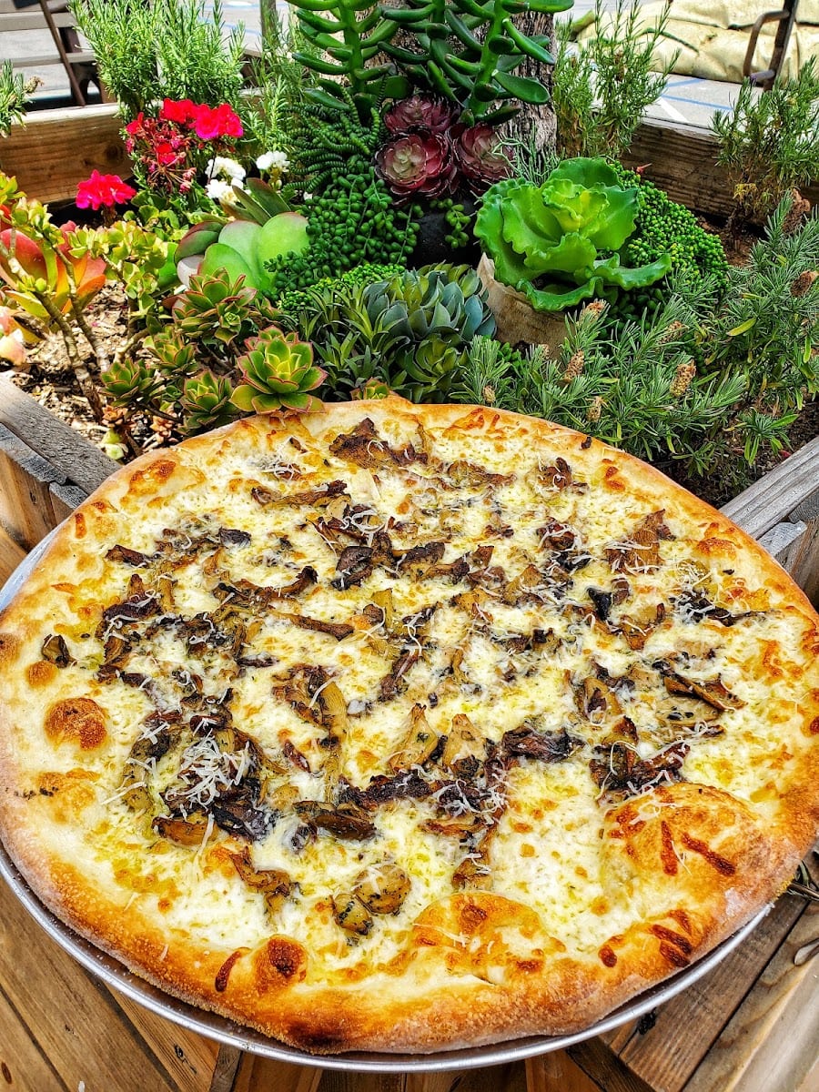 Pizza X, photo 3