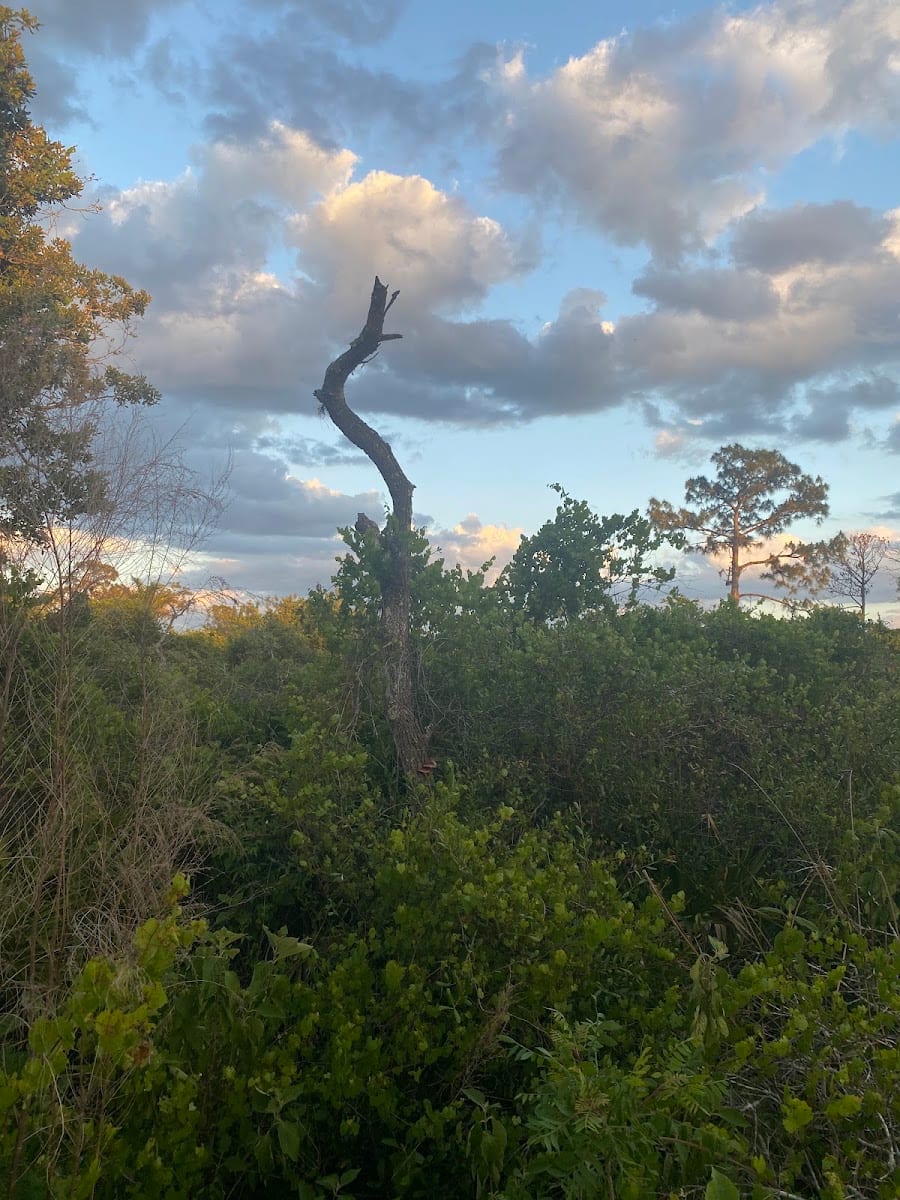 myakkahatchee creek greenway nature tralhead, photo 2