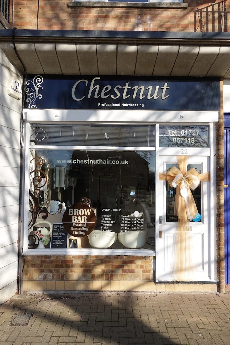 Chestnut Hair