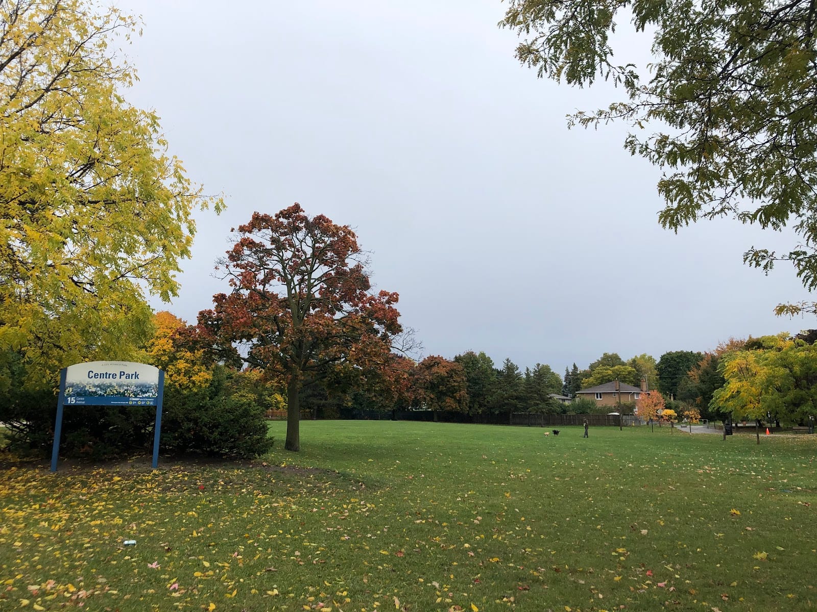 Centre Park