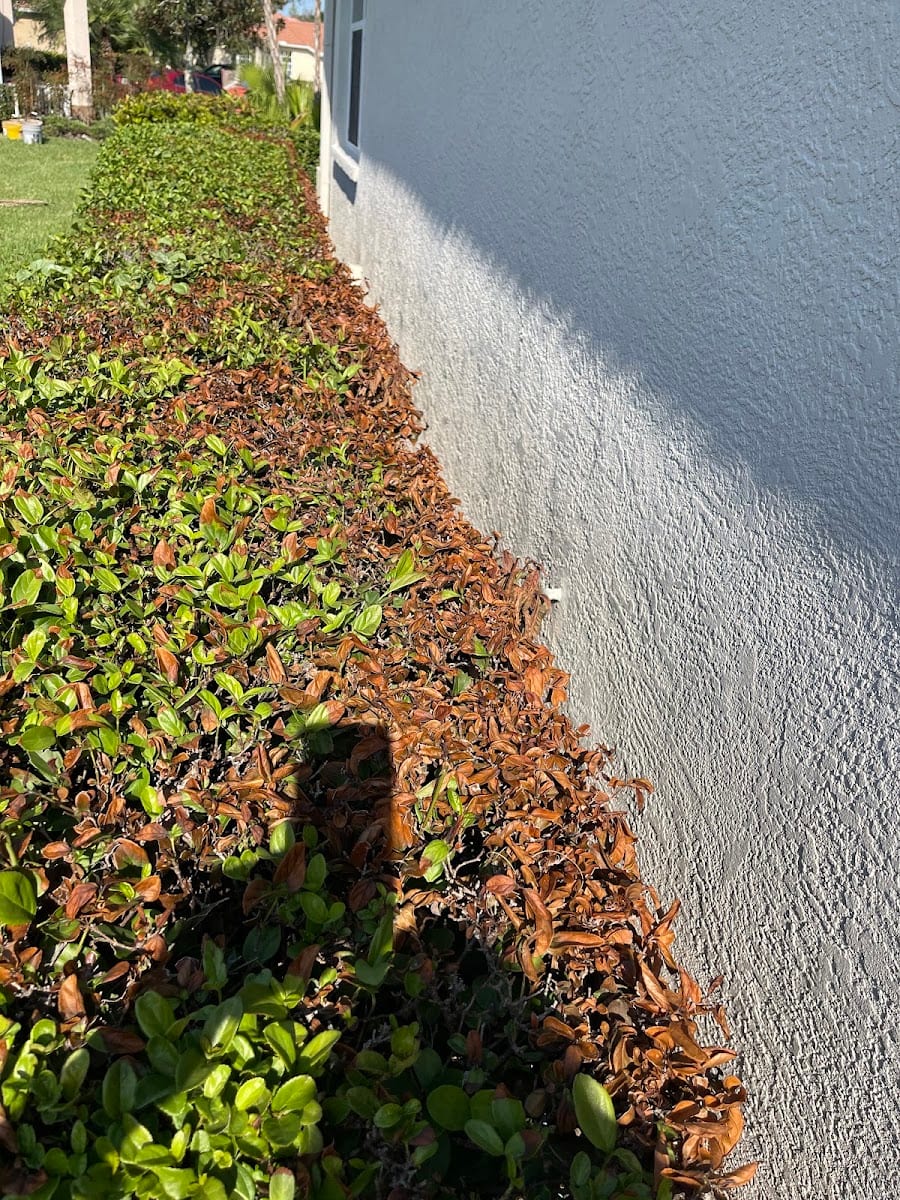 Rick's Roof Cleaning & Painting, Inc.