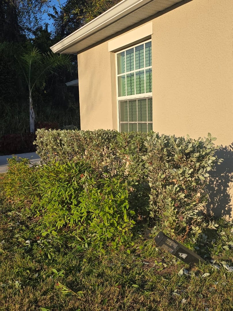 Palons lawn care and more, photo 4