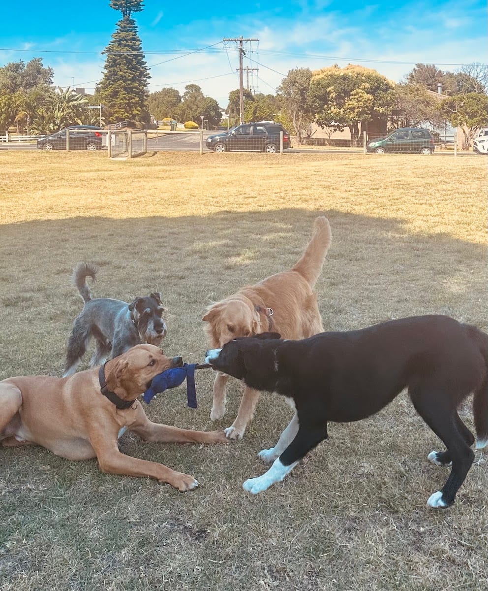 Murrowong dog park, photo 2
