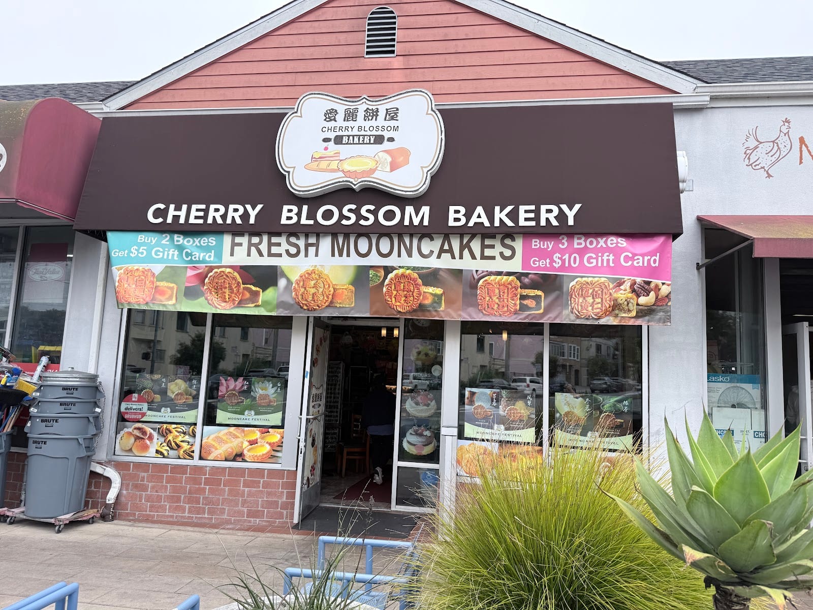 Cherry Blossom Bakery