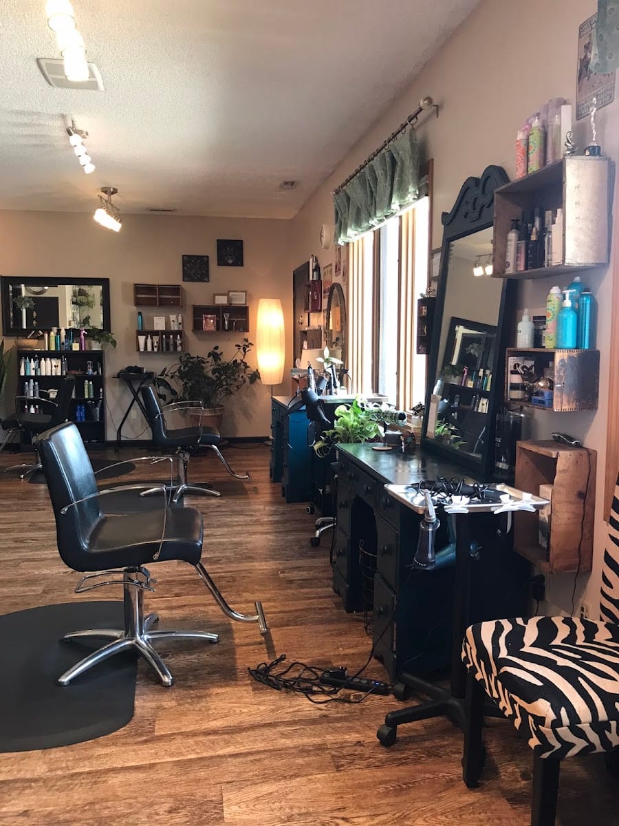 The Shag Salon