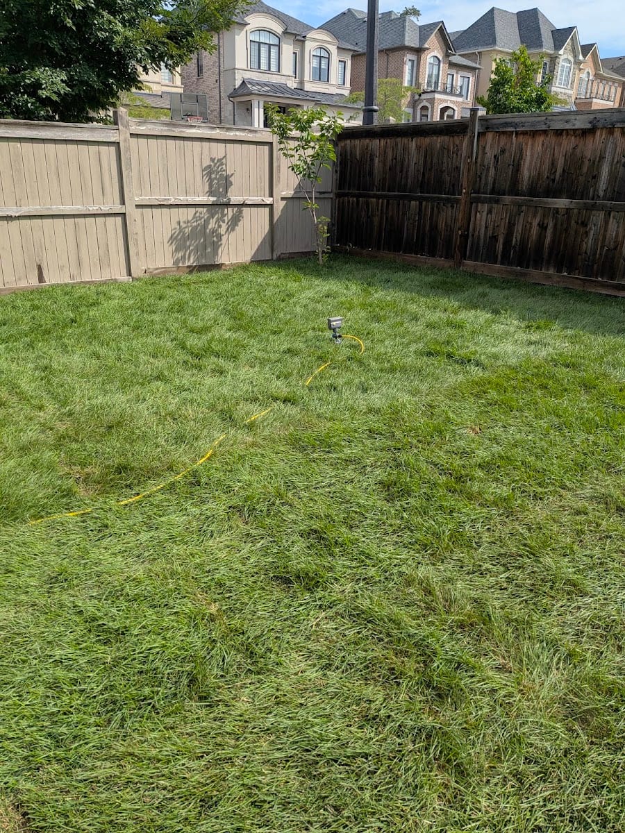 Armour Landscaping & Interlocking Richmond Hill, photo 4