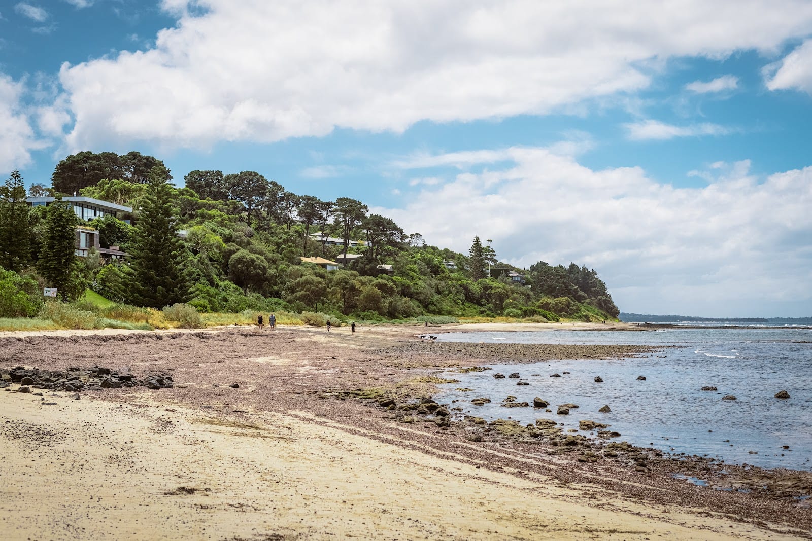 Flinders Beach Dog Off Leash Area