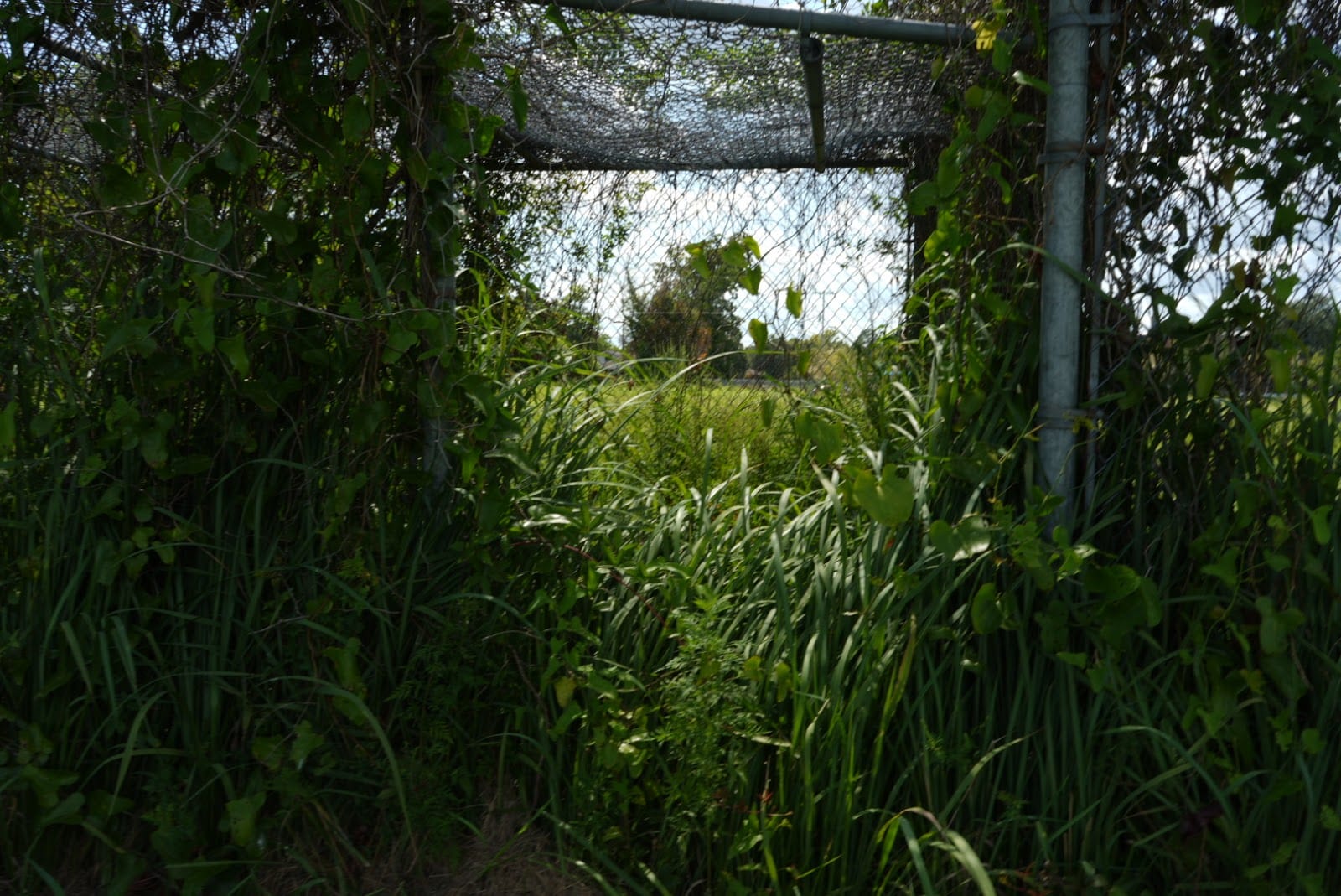 Harmon Park