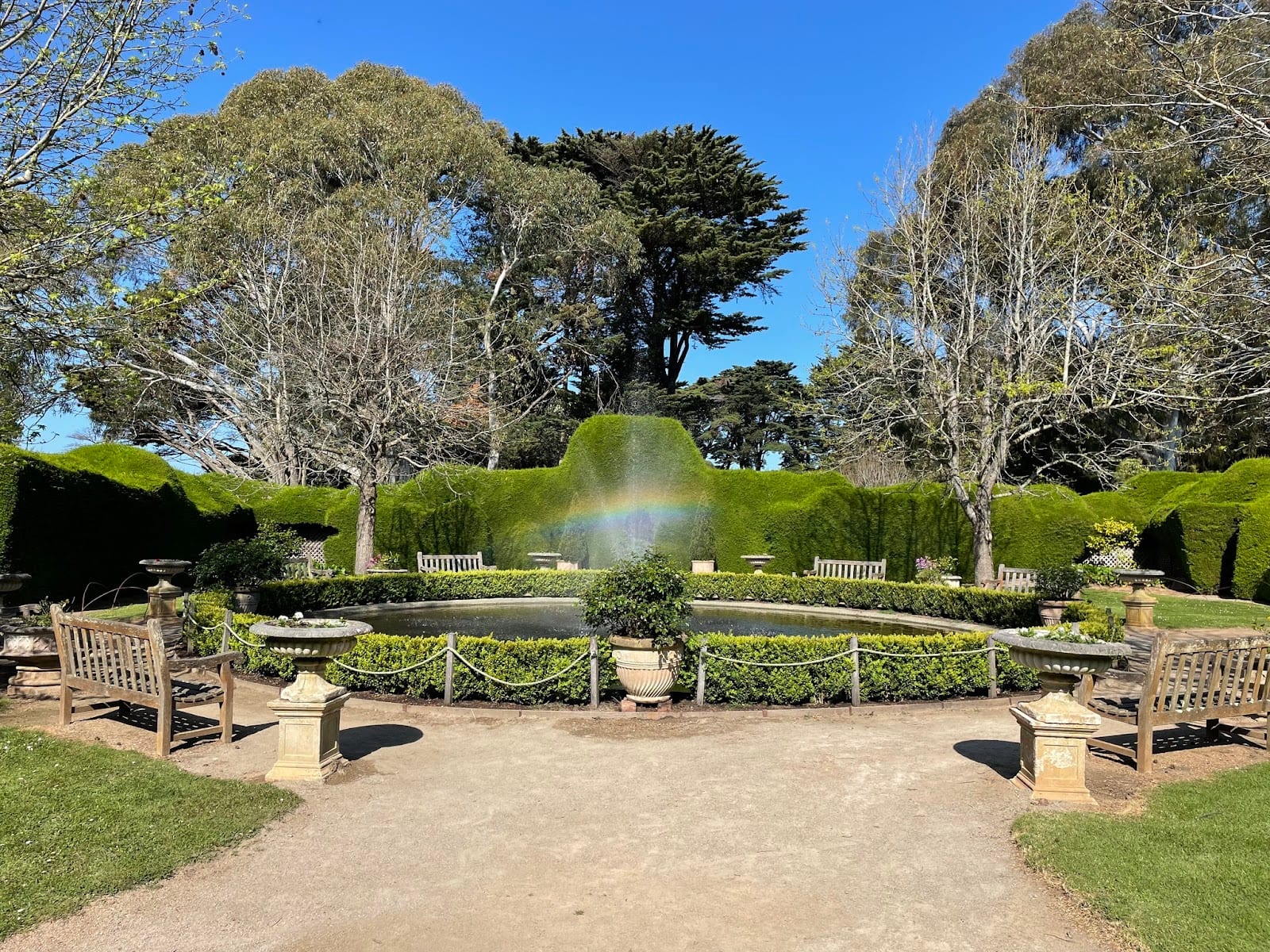 Ashcombe Maze & Lavender Gardens
