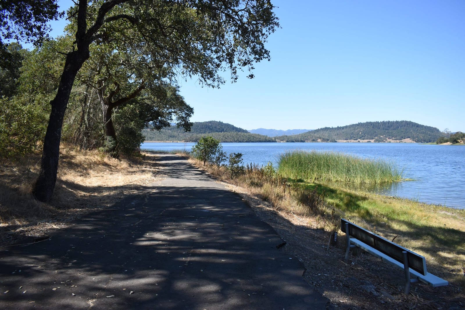 Napa County Regional Park District - Lake Hennessey City Recreation Area, photo 3