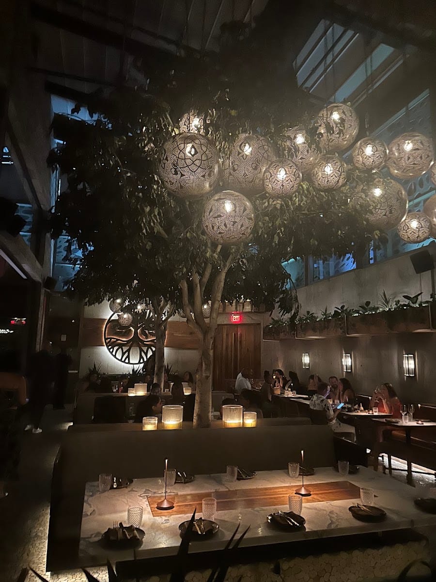 Toca Madera Scottsdale