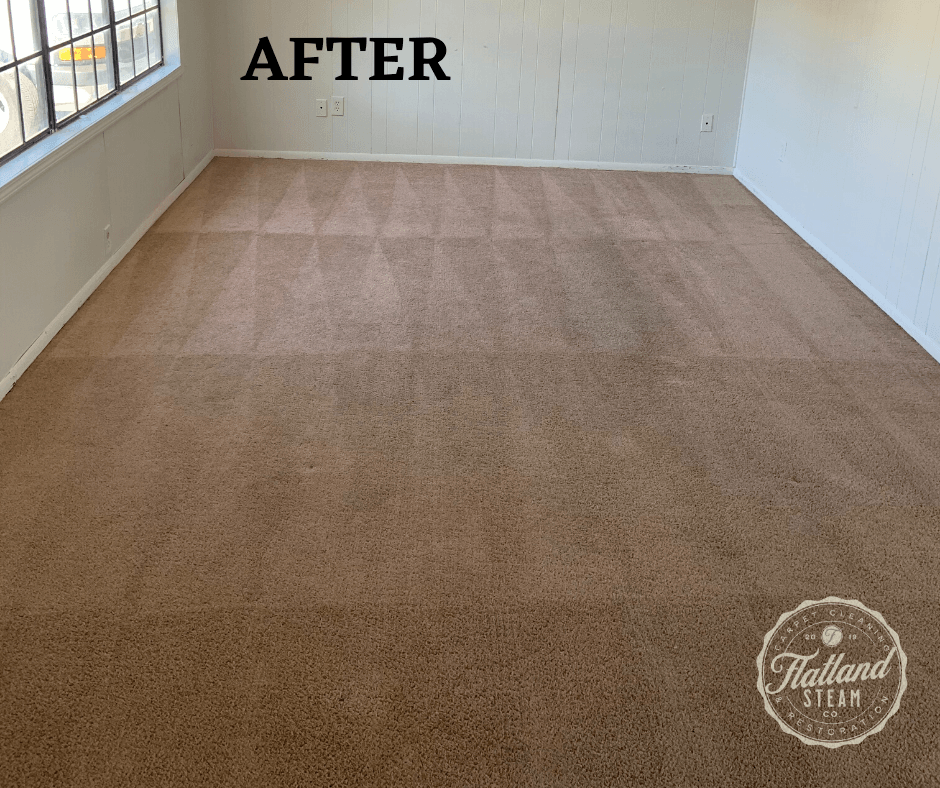 Flatland Carpet Cleaning, photo 2