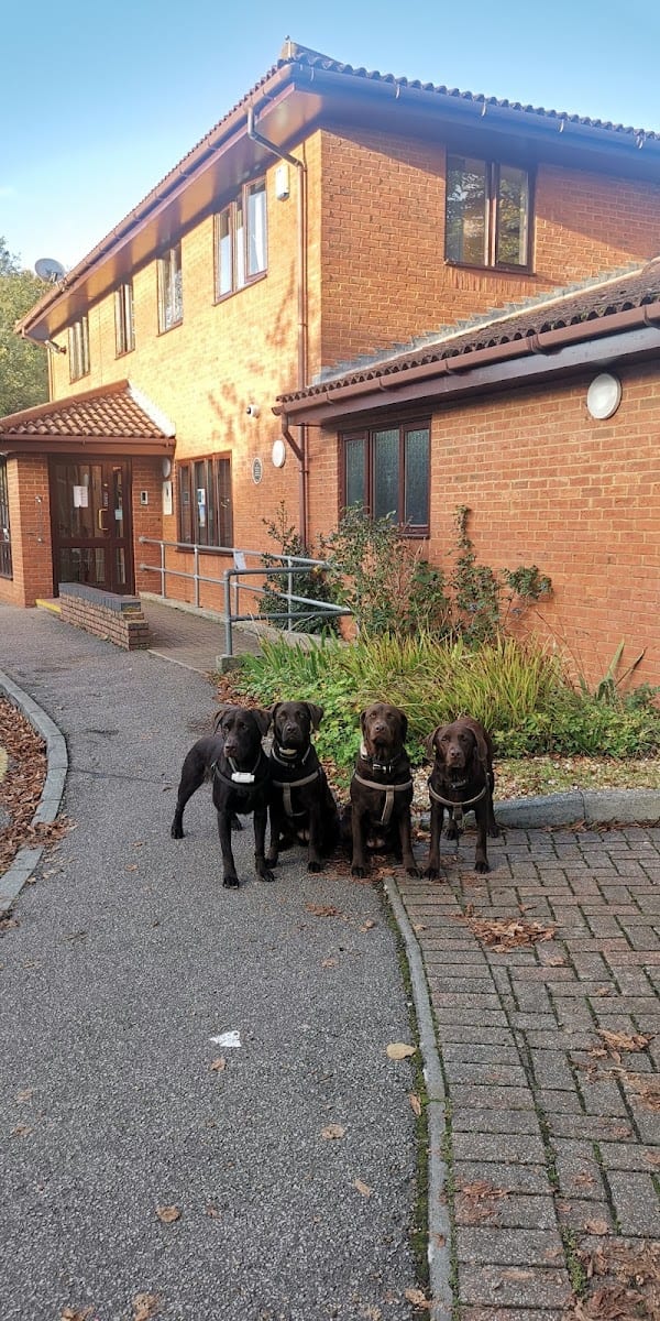 The Elms Medical Practice