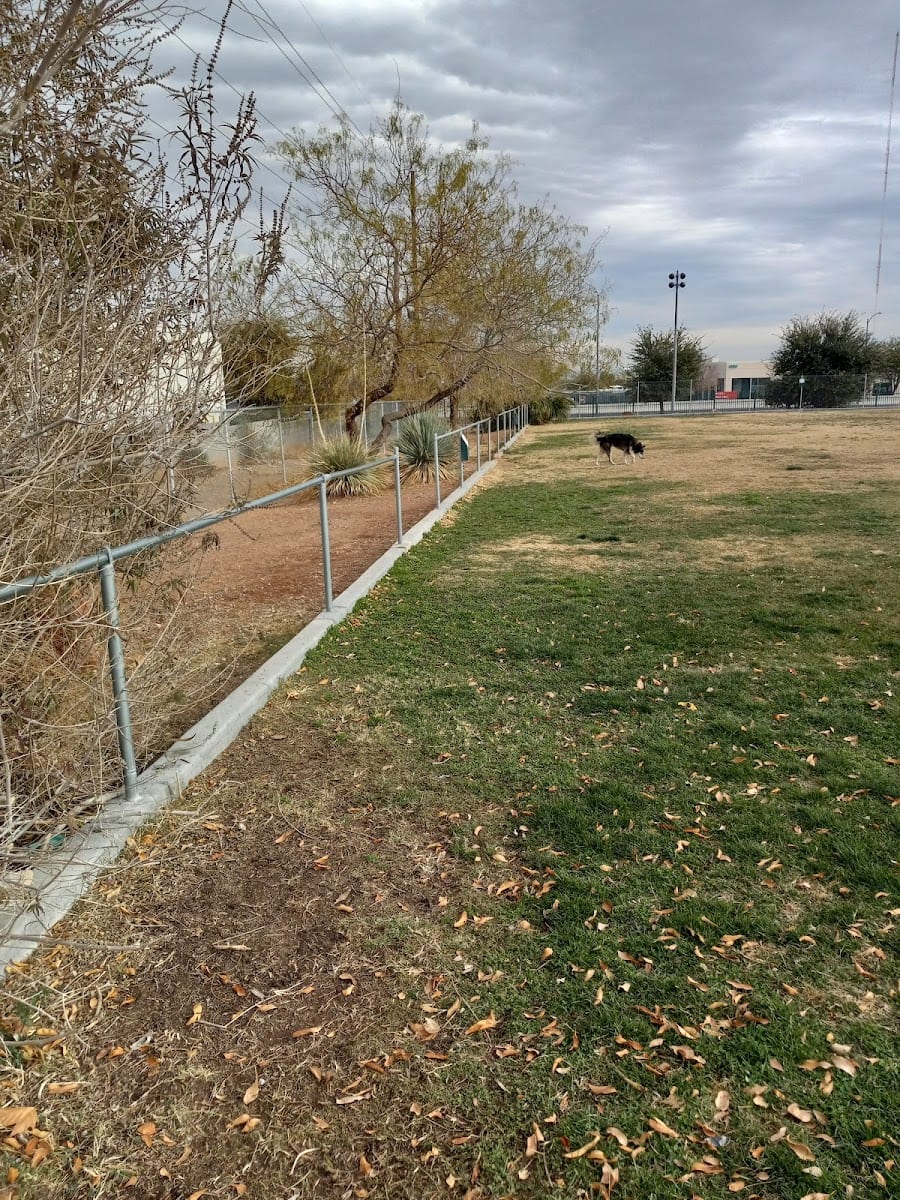 Dog park