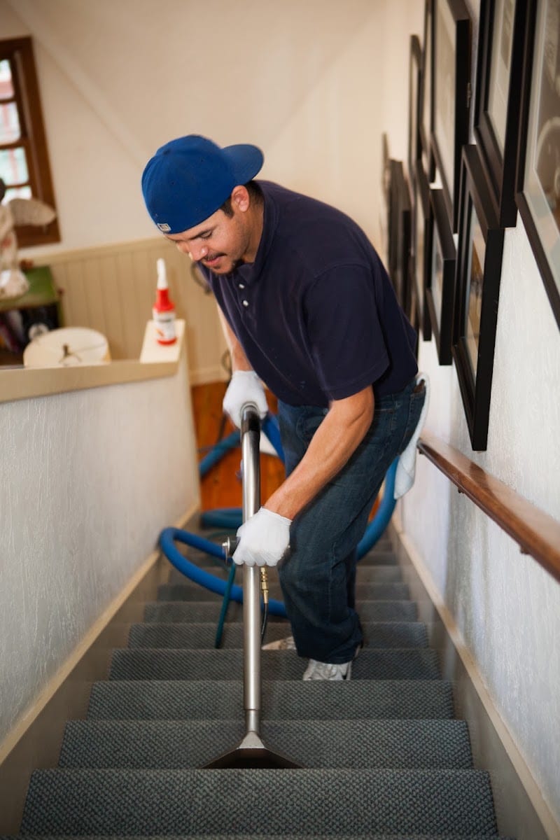 Extreme Steam Carpet Cleaning, photo 3