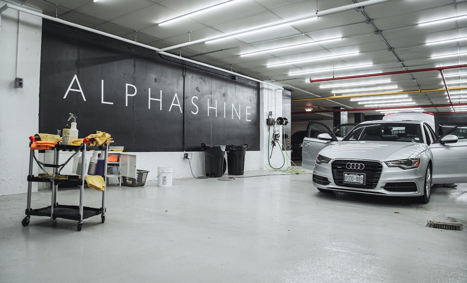 ALPHASHINE | Car Detailing, photo 2