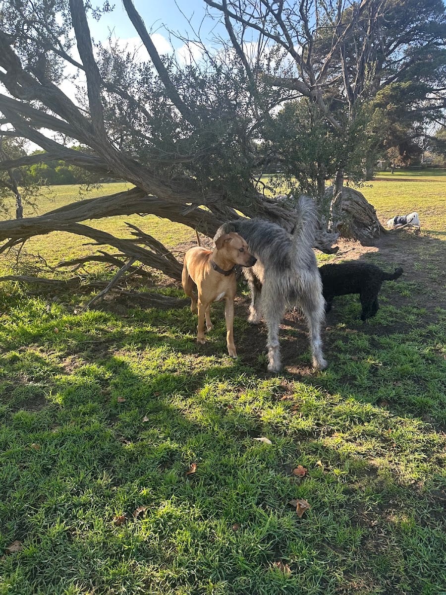 Murrowong dog park