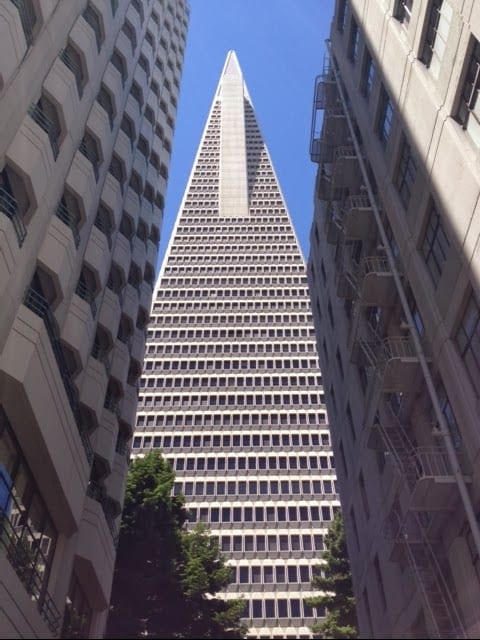Real Estate Group, LLC