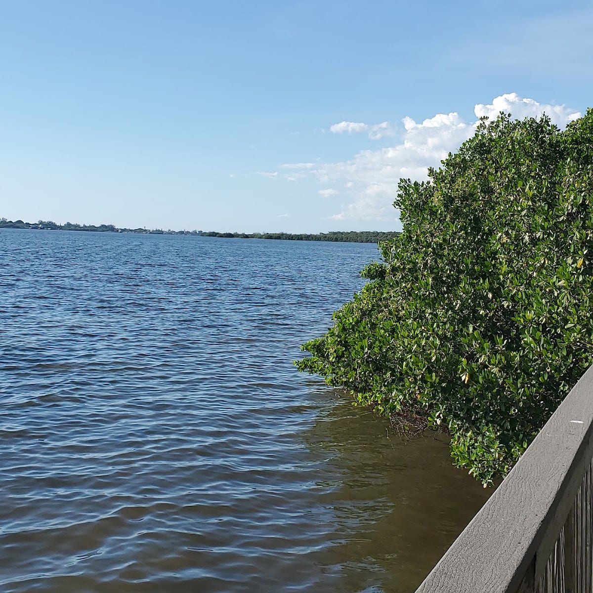 Lemon Bay Park & Environmental Center