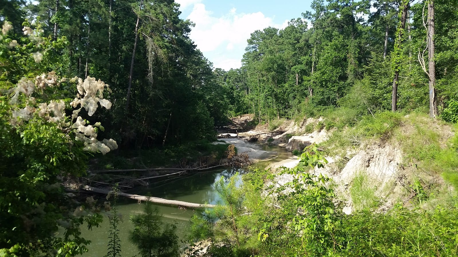 Stahl Preserve, photo 3