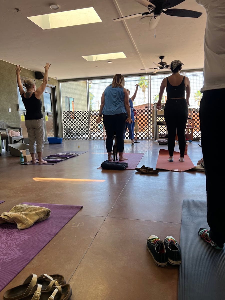 Blessings Yoga, photo 3