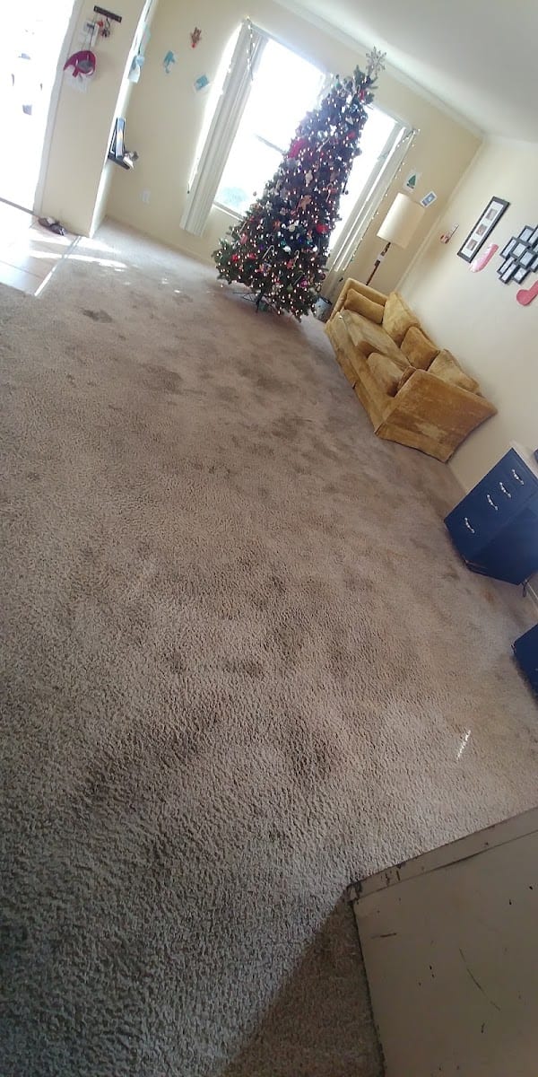 Doctor Carpet, photo 2