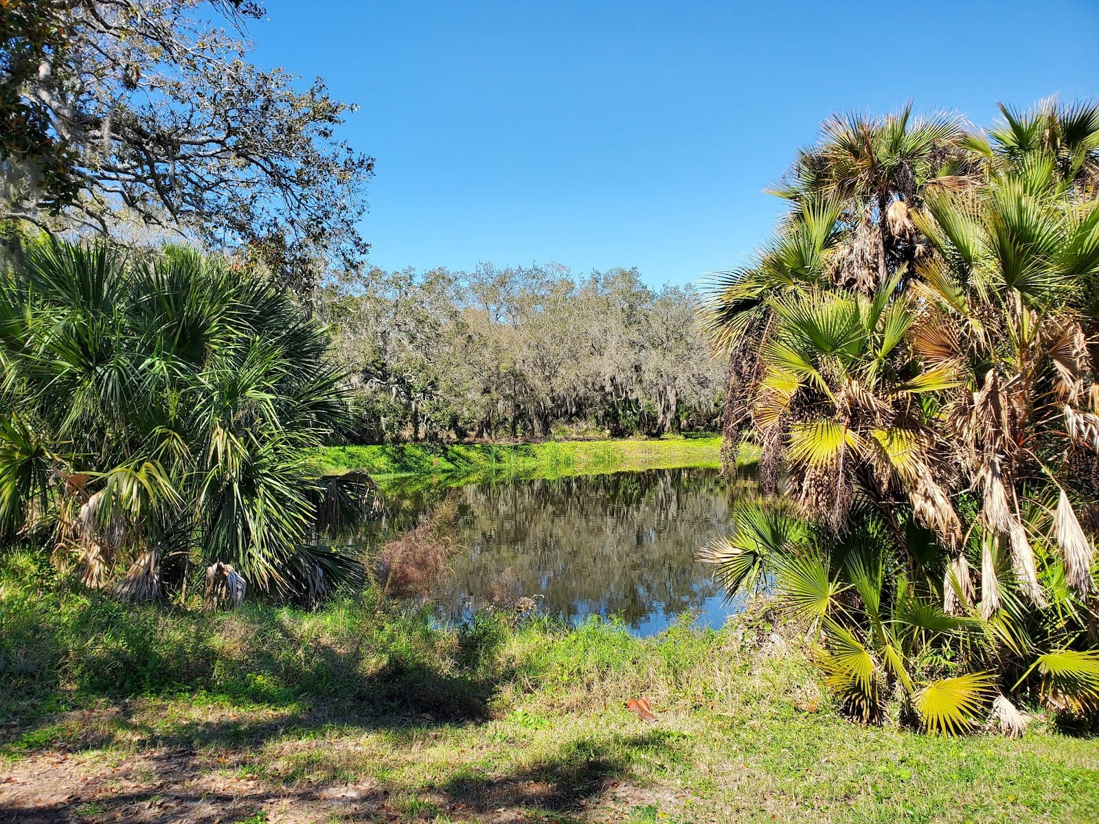 Osprey Junction Trailhead, photo 3