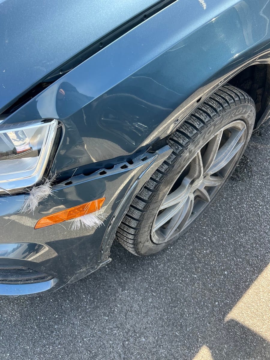 Vogel's Collision