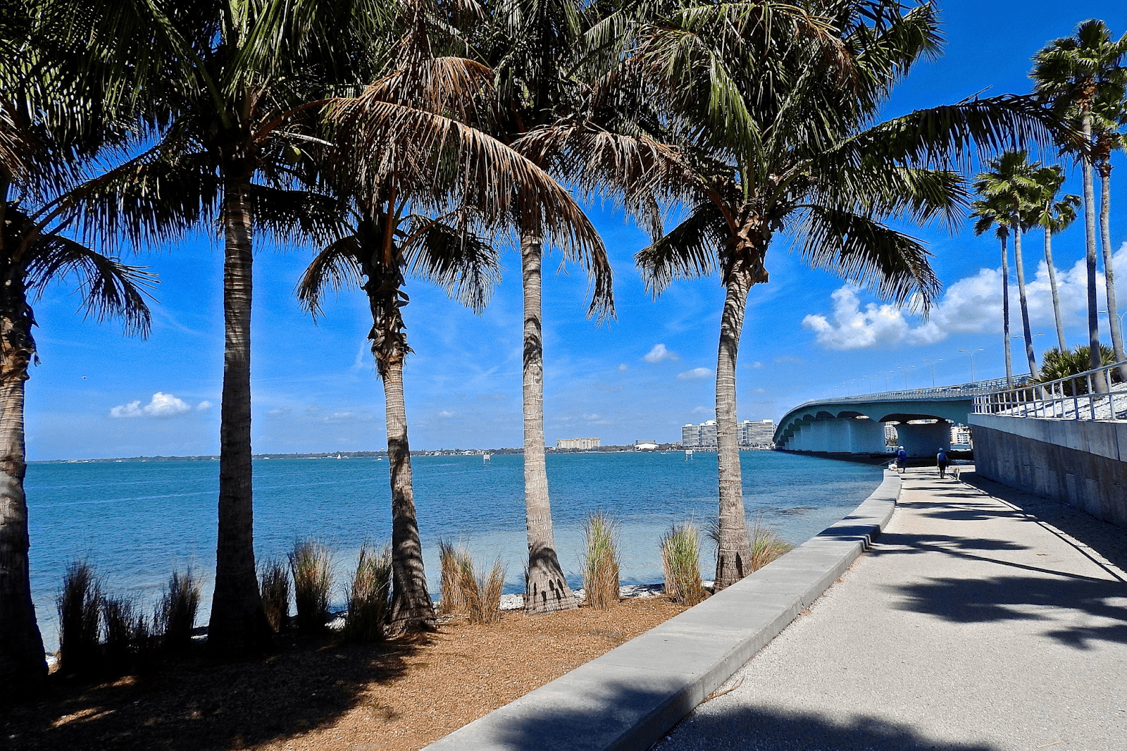 Lido Key Vacations, photo 2