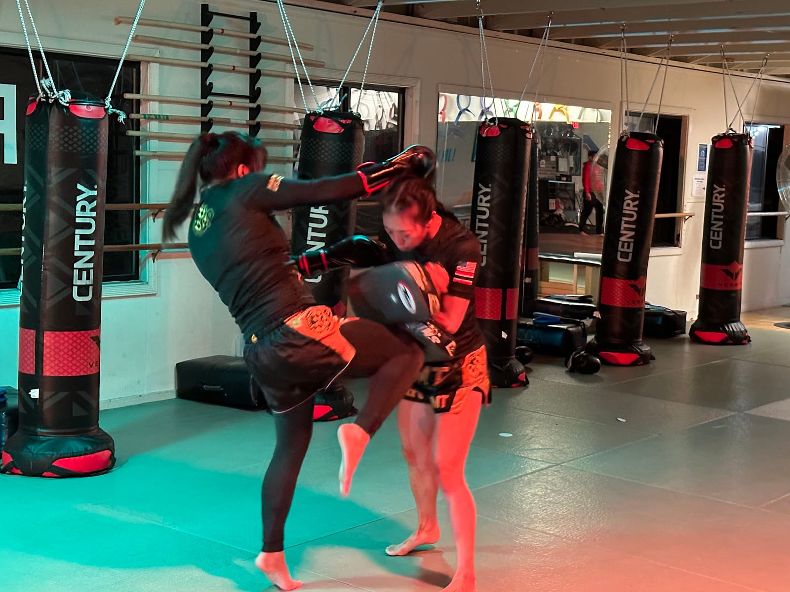 Hapkido USA-Colhado Brazilian Jiujitsu-Muay Thai-Eskrima, photo 2