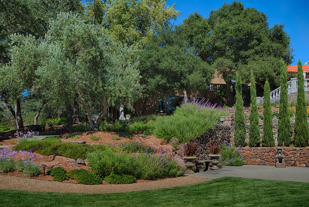 Carlos Landscape Inc.