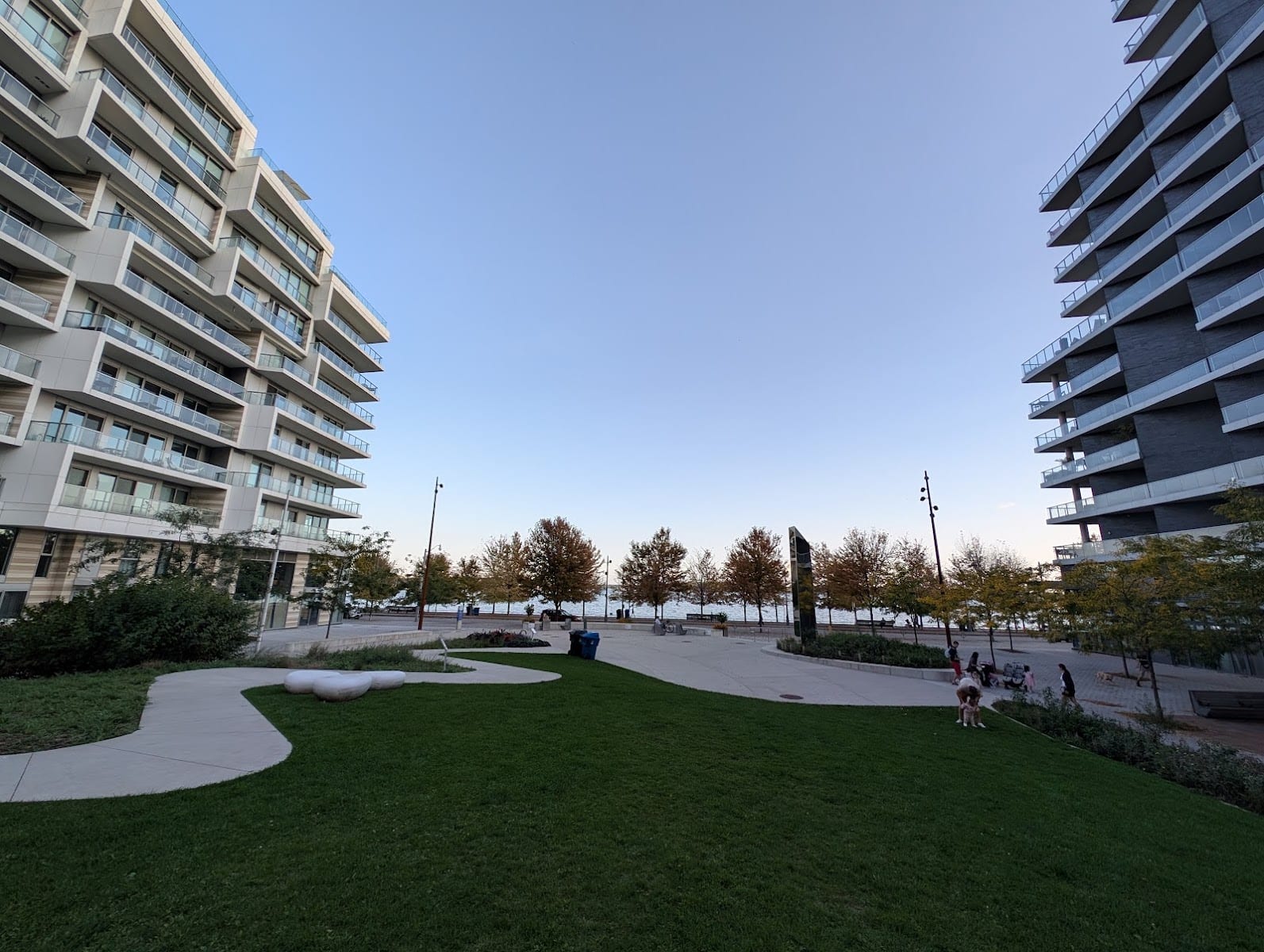 Dog Park