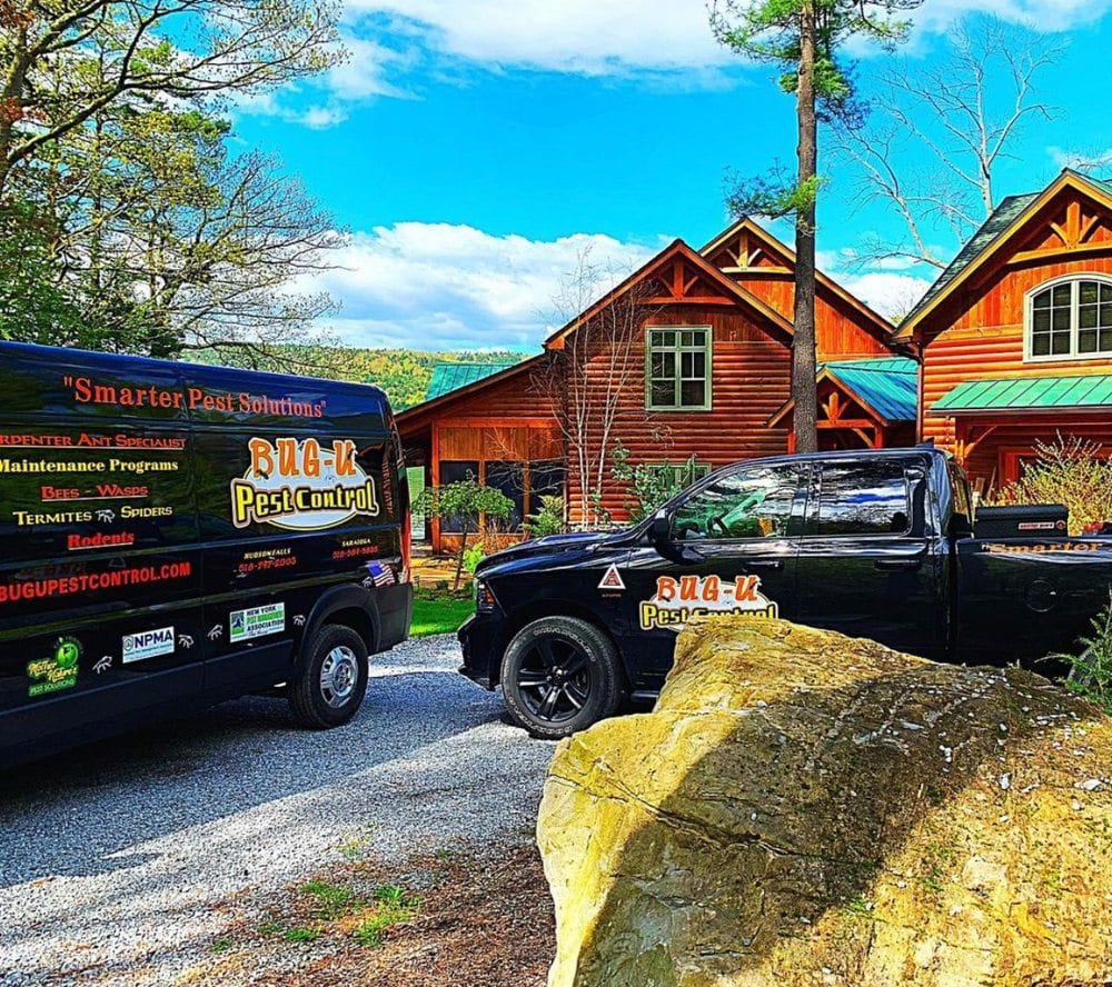 Bug-U Pest Control-Saratoga Springs, NY