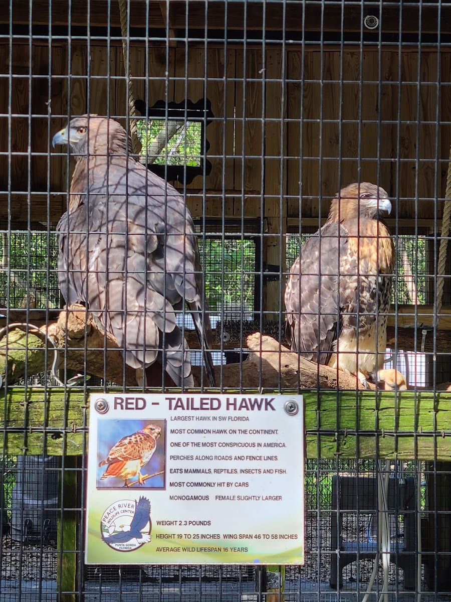 Peace River Wildlife Center-Education Center, photo 4