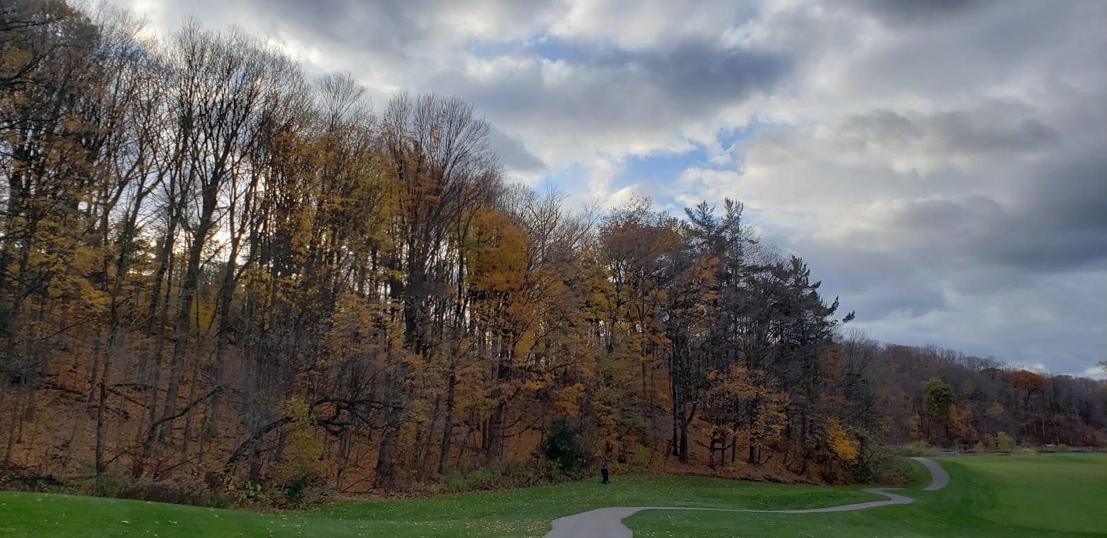 Yonge & York Mills Dog Park, photo 3