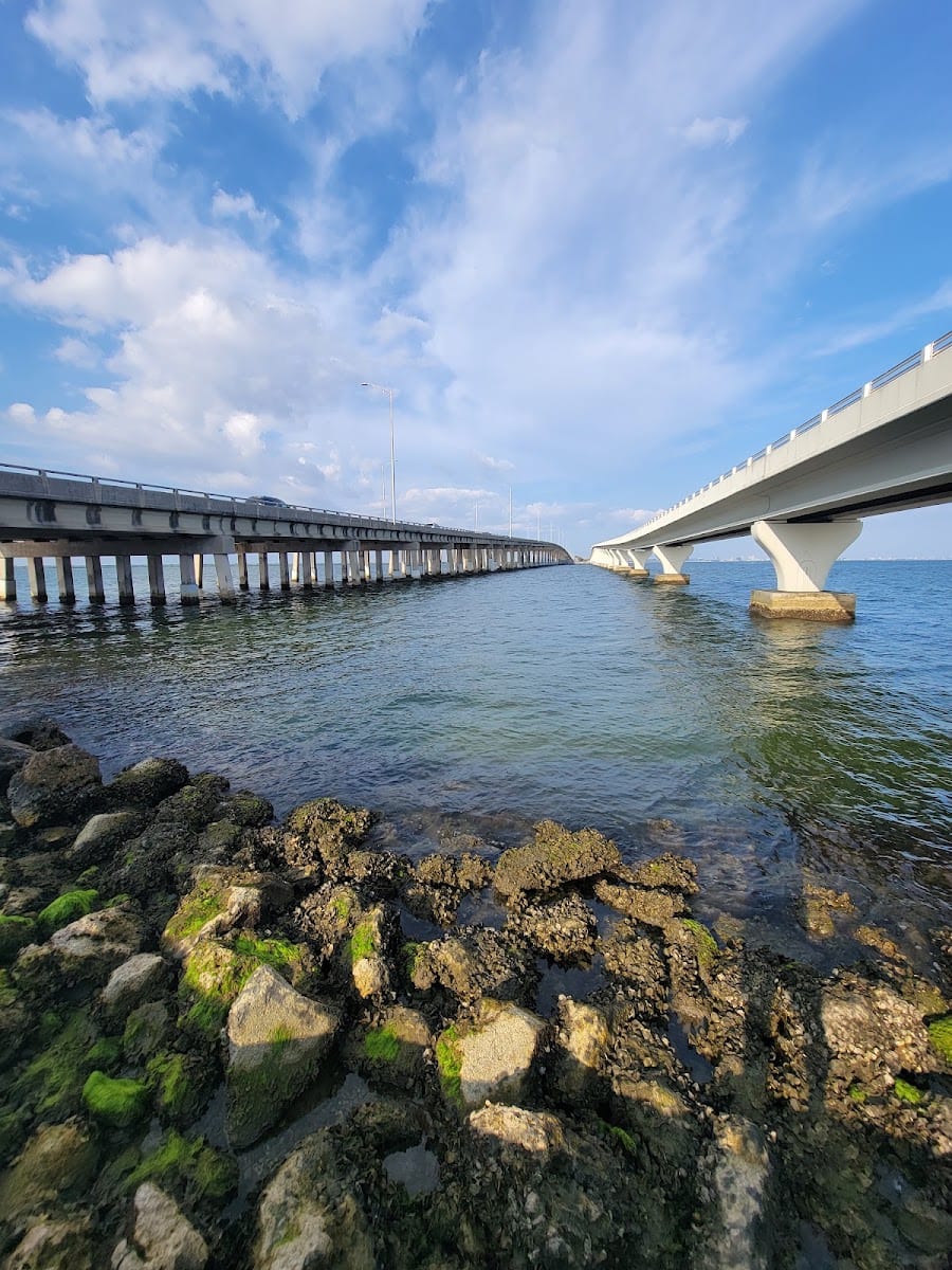 Courtney Campbell Causeway - Shelter