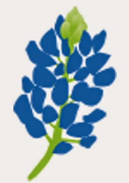 Bluebonnet Trails Community Services, photo 3