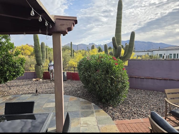 Scottsdale Hardscaping and Landscaping, photo 3