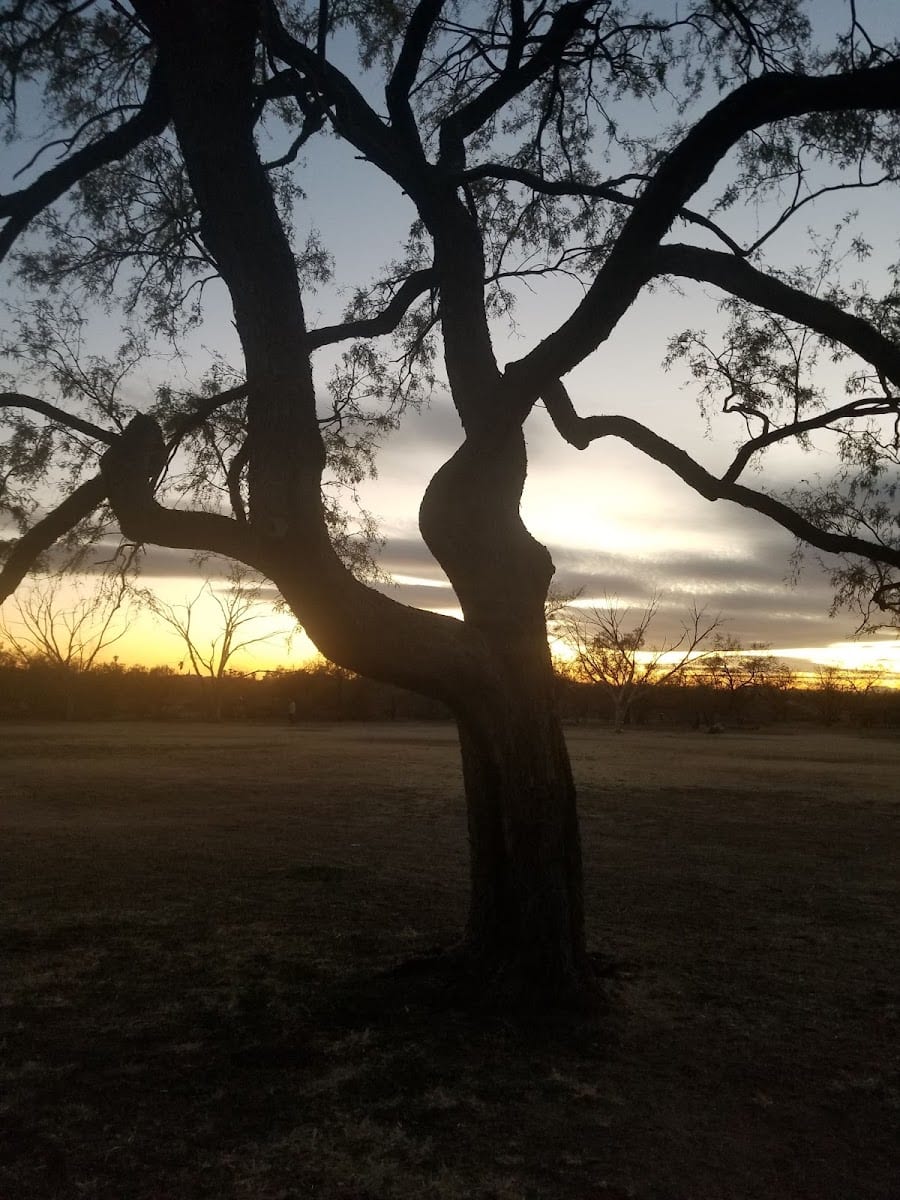 Groves Park, photo 3