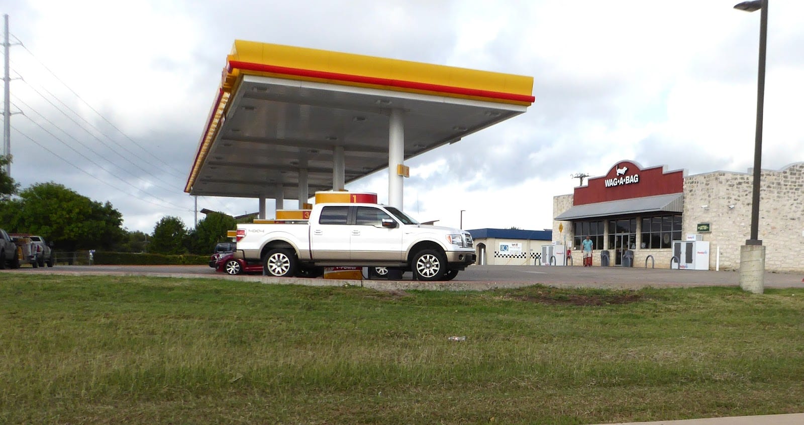 Shell, photo 4