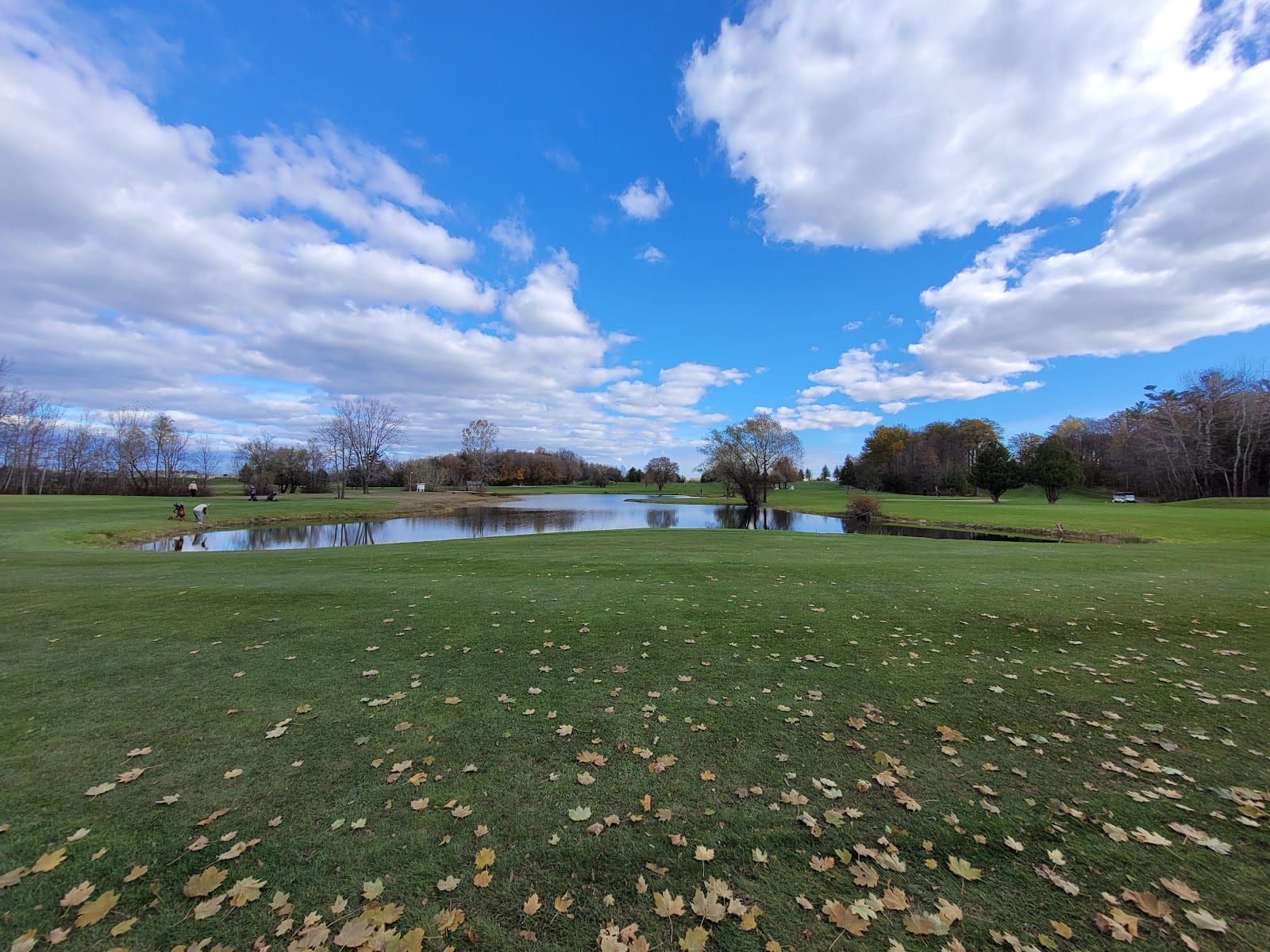 Bloomington Downs Golf Course, photo 4